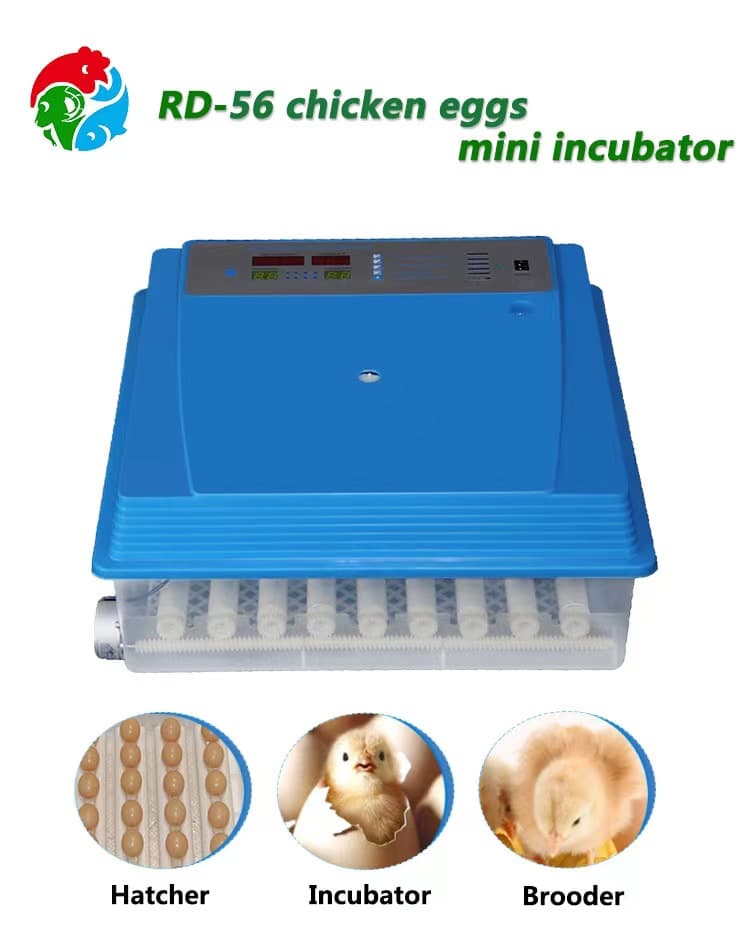 56 Egg Incubator AC/DC