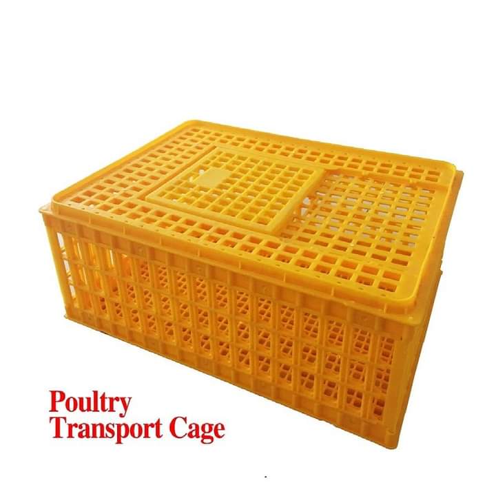 Poultry Transport Cage