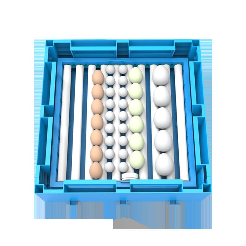 Poultry incubator