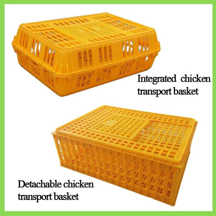 Chicken Transport Crate (8 Birds)